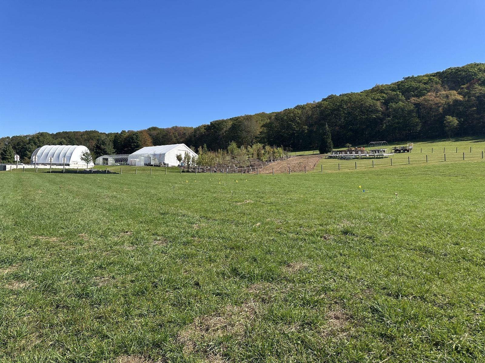 Pasture where the pad will go.