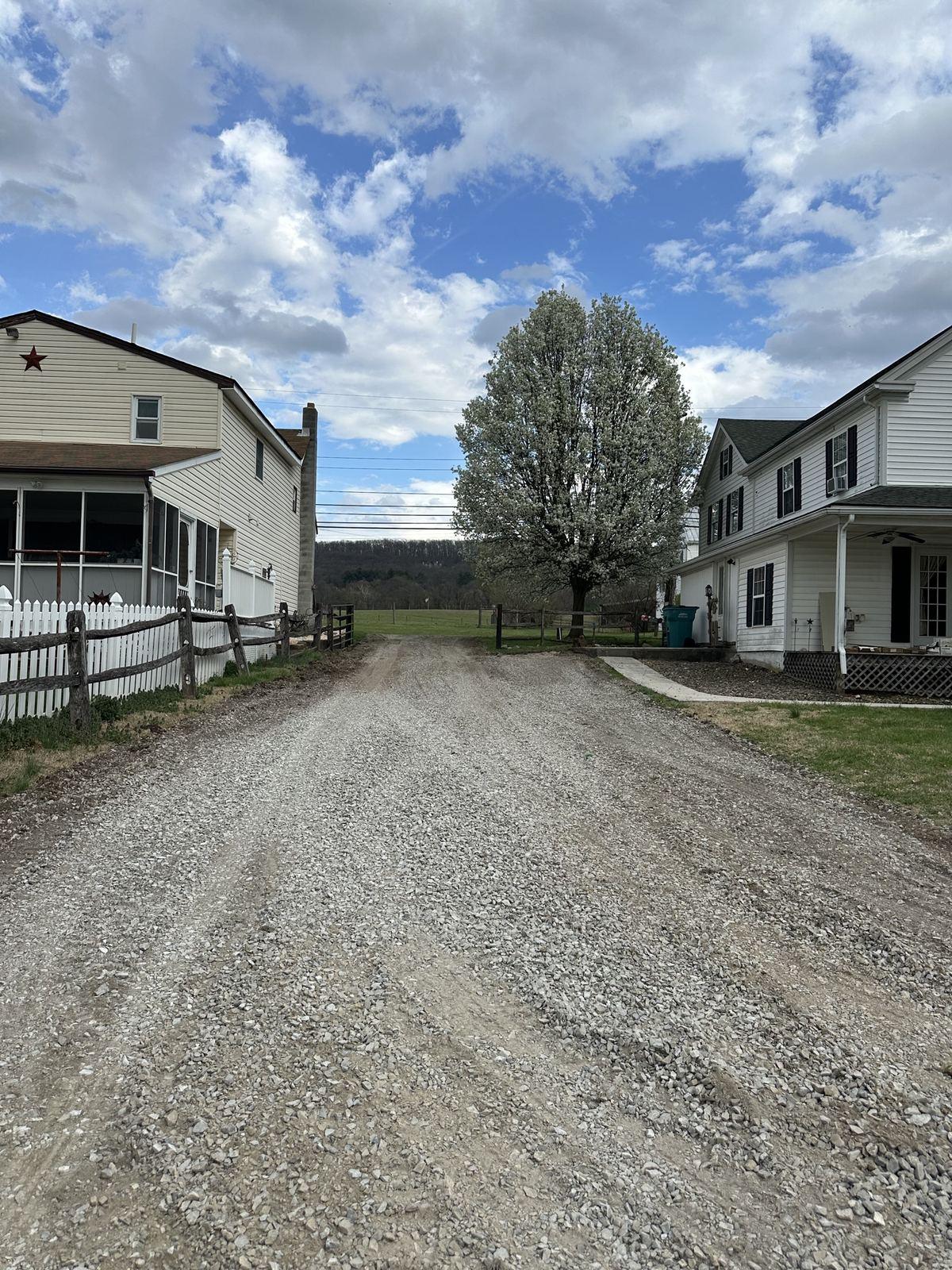 A regraded stone driveway at Mapleville, with a blossoming tree.