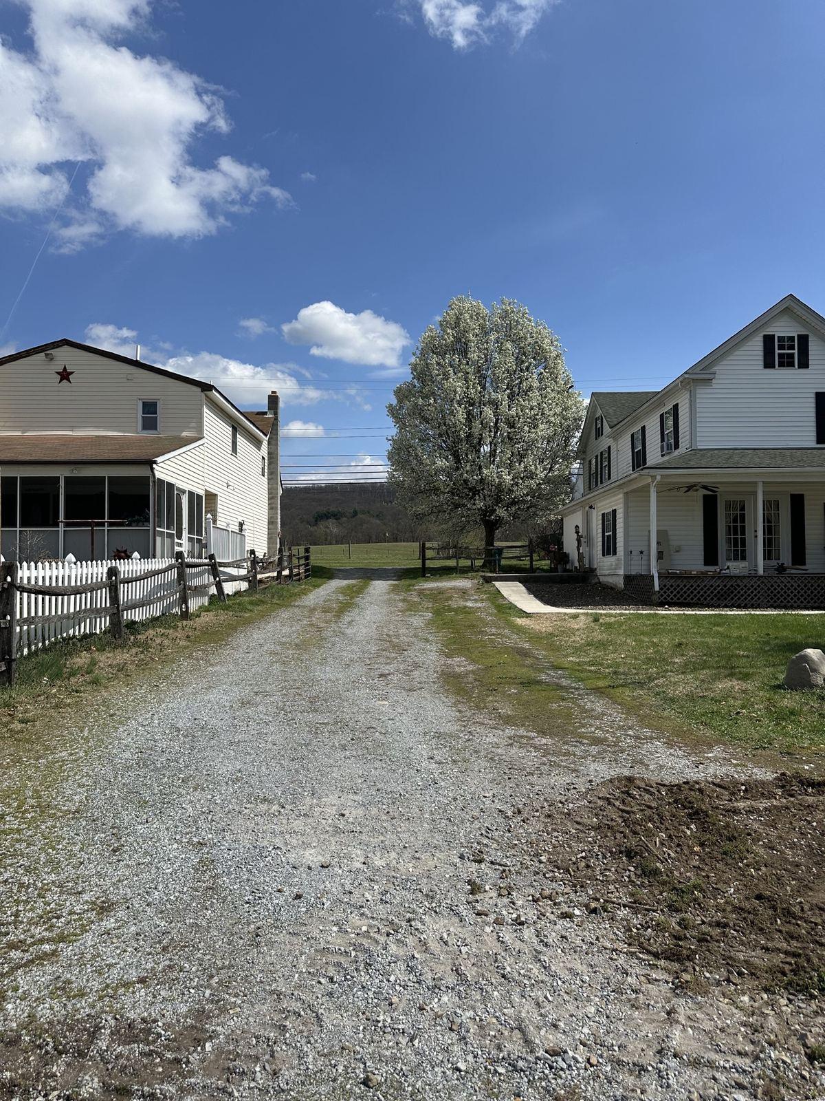 The worn gravel driveway.